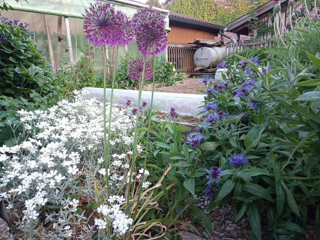 Ansicht Garten im Landhotel Großeiberhof in Waldmünchen